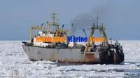 Koelschip te koop