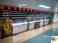 Ro-Ro-schip te koop