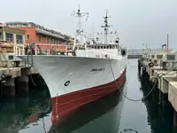 Trawler te koop