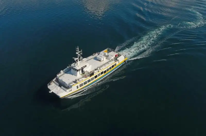 Catamaran te koop