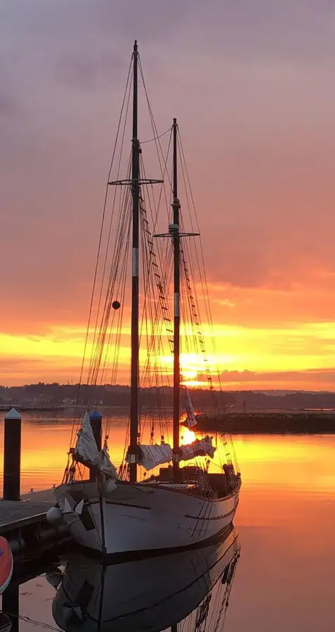 Veerboot te koop