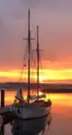 Veerboot te koop