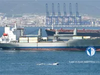 Koelschip te koop