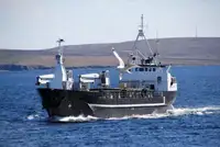 Vrachtschip Te koop