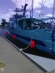 Trawler te koop