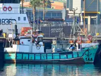 Purse seiner Te koop
