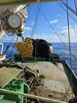 Purse seiner Te koop