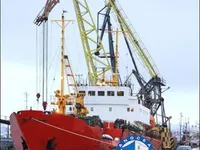 Koelschip te koop