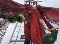 Trawler te koop