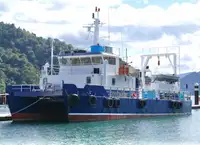 Catamaran te koop