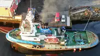Sleepboot Te koop