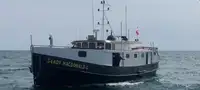 Sleepboot Te koop