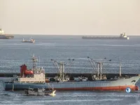 Koelschip te koop