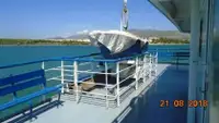Ro-Ro ship Te koop