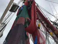 Trawler te koop