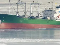 Koelschip te koop