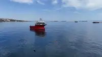 Werkboten te koop
