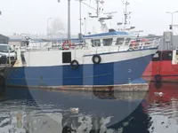 Levend vis transport schip te koop