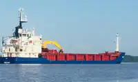 Bulkcarrier te koop