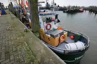 Trawler te koop