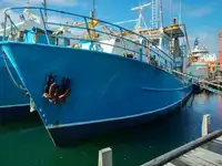 Trawler Te koop