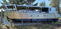 Catamaran te koop