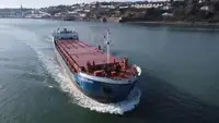 Bulkcarrier te koop