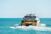 Catamaran Te koop