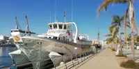 Veerboot te koop