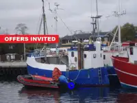 Beurtvisser te koop