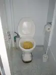 Langlijnschip te koop