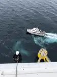 Catamaran Te koop