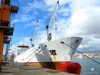 Koelschip Te koop