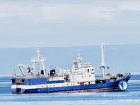 Trawler te koop