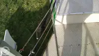 Containerschip te koop