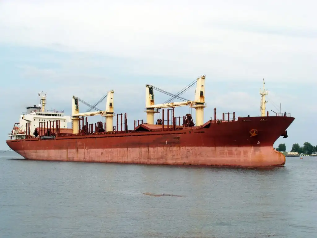 Bulkcarrier te koop