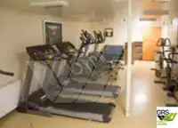 Accommodatieponton te koop