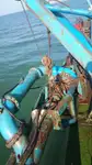 Baggeraarschip te koop