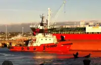 Sleepboot Te koop