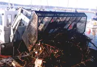 Binnenvaartschip Te koop
