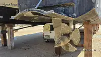 Catamaran te koop