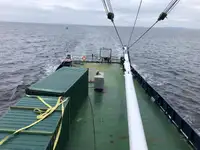 Koelschip te koop