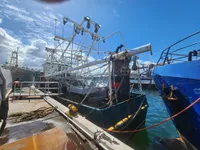 Trawler te koop