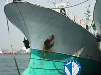 Langlijnschip te koop