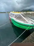 Veerboot te koop