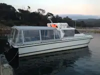 Catamaran Te koop