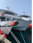 Catamaran Te koop