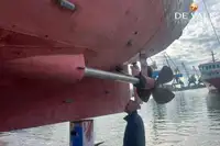 Veerboot te koop