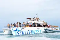 Catamaran te koop