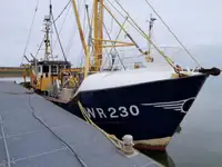 Trawler Te koop